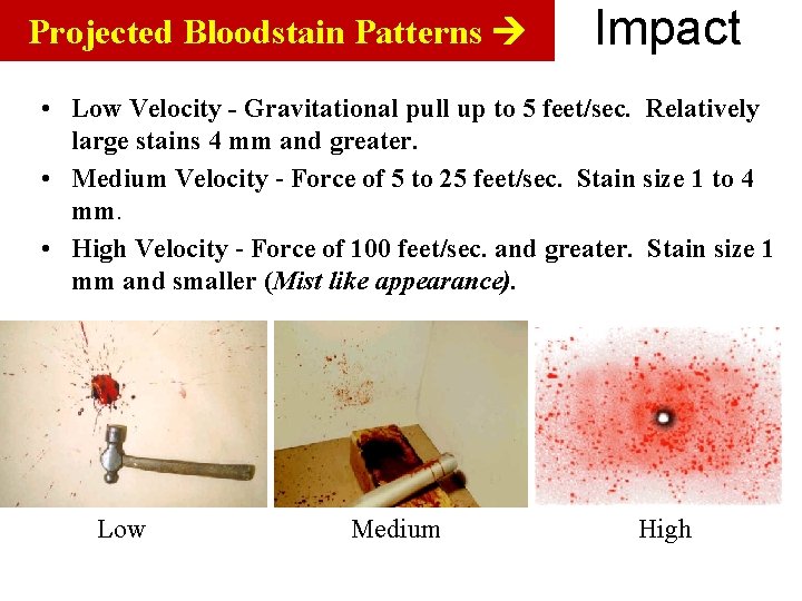 Projected Bloodstain Patterns Impact • Low Velocity - Gravitational pull up to 5 feet/sec.