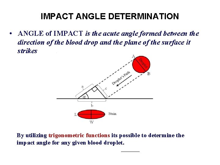 IMPACT ANGLE DETERMINATION • ANGLE of IMPACT is the acute angle formed between the