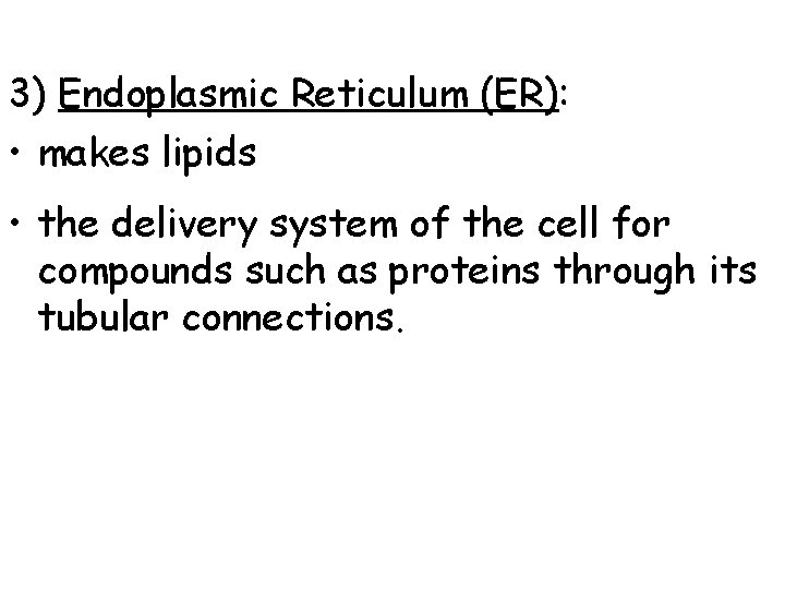 3) Endoplasmic Reticulum (ER): • makes lipids • the delivery system of the cell