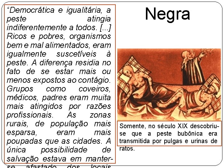 “Democrática e igualitária, a peste atingia indiferentemente a todos. [. . . ] Ricos