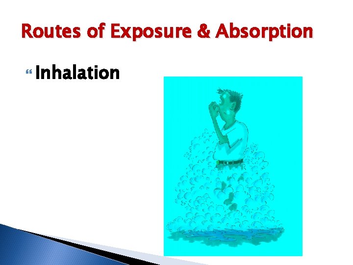 Routes of Exposure & Absorption Inhalation 