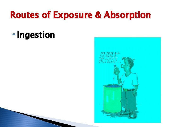 Routes of Exposure & Absorption Ingestion 