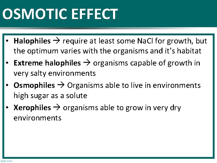 OSMOTIC EFFECT • Halophiles require at least some Na. Cl for growth, but the