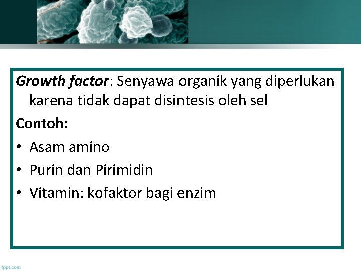 Growth factor: Senyawa organik yang diperlukan karena tidak dapat disintesis oleh sel Contoh: •