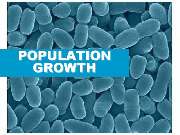 POPULATION GROWTH 