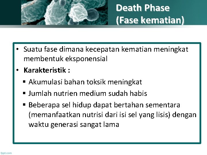 Death Phase (Fase kematian) • Suatu fase dimana kecepatan kematian meningkat membentuk eksponensial •