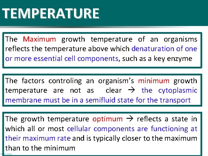 TEMPERATURE The Maximum growth temperature of an organisms reflects the temperature above which denaturation