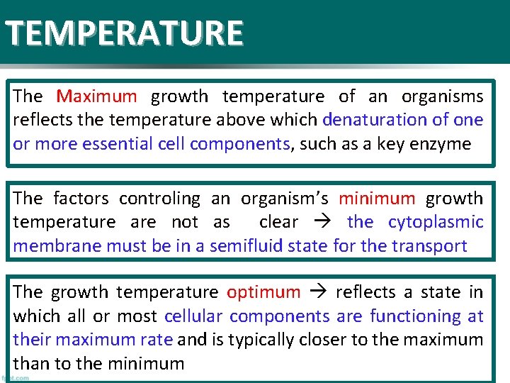 TEMPERATURE The Maximum growth temperature of an organisms reflects the temperature above which denaturation
