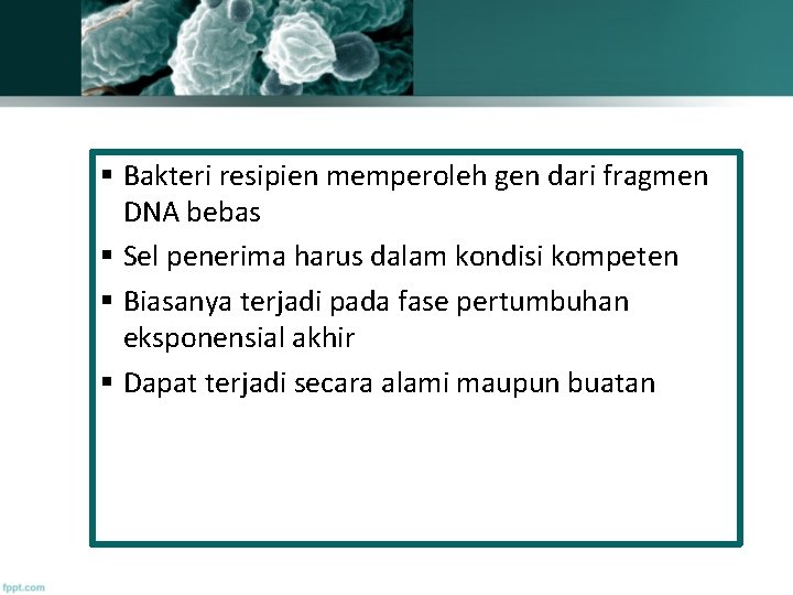 § Bakteri resipien memperoleh gen dari fragmen DNA bebas § Sel penerima harus dalam