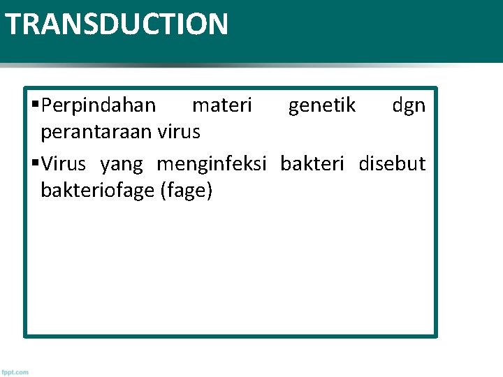 TRANSDUCTION §Perpindahan materi genetik dgn perantaraan virus §Virus yang menginfeksi bakteri disebut bakteriofage (fage)