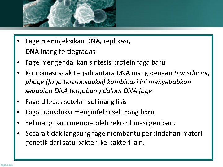  • Fage meninjeksikan DNA, replikasi, DNA inang terdegradasi • Fage mengendalikan sintesis protein