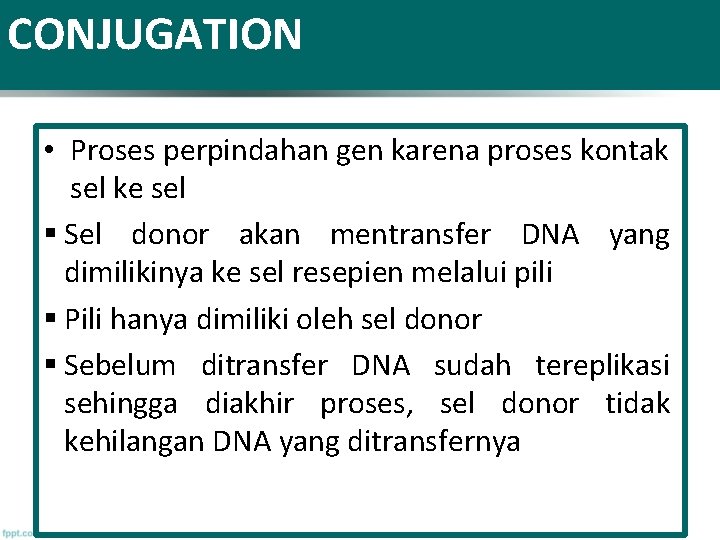 CONJUGATION • Proses perpindahan gen karena proses kontak sel ke sel § Sel donor