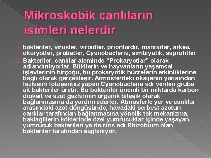 Mikroskobik canlıların isimleri nelerdir bakteriler, virüsler, viroidler, prionlardır, mantarlar, arkea, ökaryotlar, protistler, Cyanobacteria, simbiyotik,