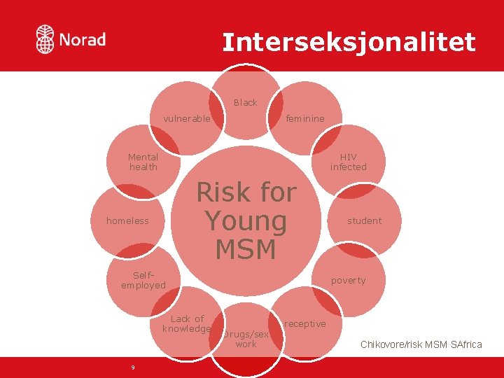 Interseksjonalitet Black vulnerable feminine Mental health HIV infected Risk for Young MSM homeless Selfemployed