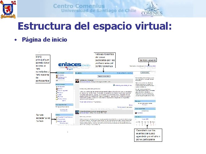 Estructura del espacio virtual: • Página de inicio 