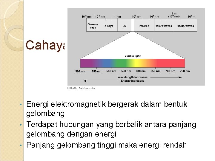 Cahaya Energi elektromagnetik bergerak dalam bentuk gelombang • Terdapat hubungan yang berbalik antara panjang