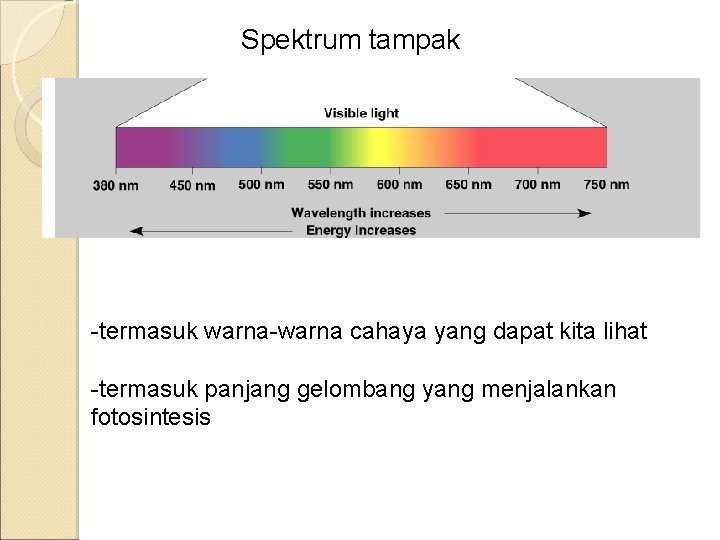 Spektrum tampak -termasuk warna-warna cahaya yang dapat kita lihat -termasuk panjang gelombang yang menjalankan