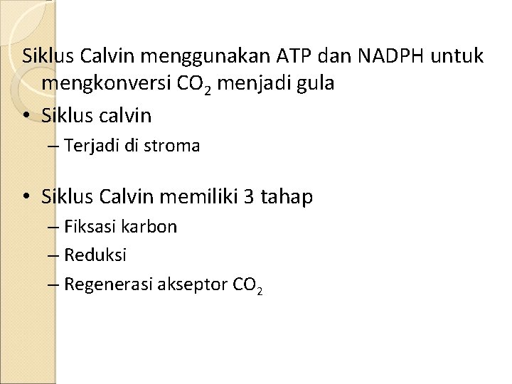 Siklus Calvin menggunakan ATP dan NADPH untuk mengkonversi CO 2 menjadi gula • Siklus