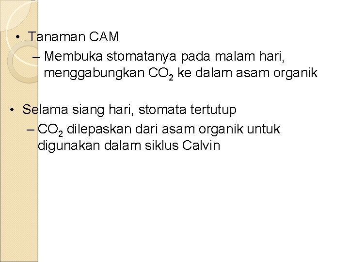  • Tanaman CAM – Membuka stomatanya pada malam hari, menggabungkan CO 2 ke