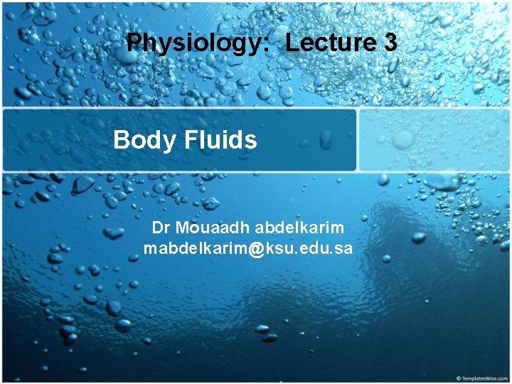 Physiology: Lecture 3 Body Fluids Dr Mouaadh abdelkarim mabdelkarim@ksu. edu. sa 