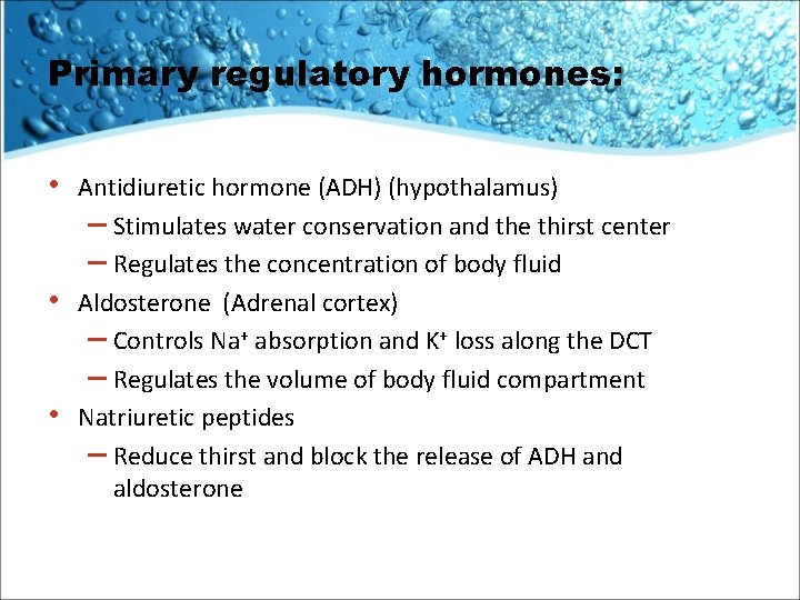 Primary regulatory hormones: • • • Antidiuretic hormone (ADH) (hypothalamus) – Stimulates water conservation