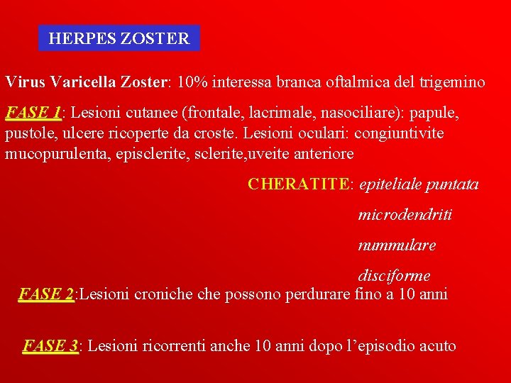 HERPES ZOSTER Virus Varicella Zoster: 10% interessa branca oftalmica del trigemino FASE 1: 1