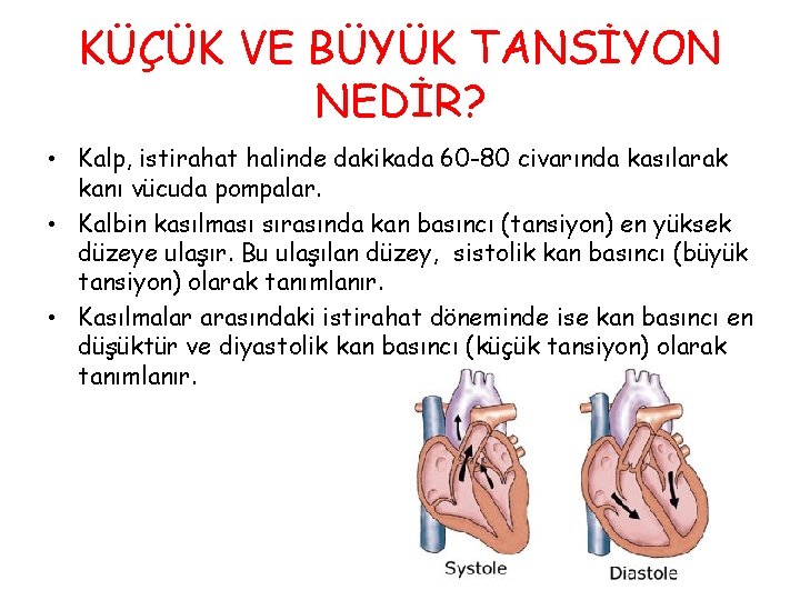 KÜÇÜK VE BÜYÜK TANSİYON NEDİR? • Kalp, istirahat halinde dakikada 60 -80 civarında kasılarak