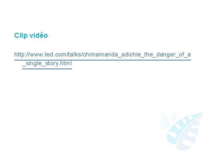 Clip vidéo http: //www. ted. com/talks/chimamanda_adichie_the_danger_of_a _single_story. html 