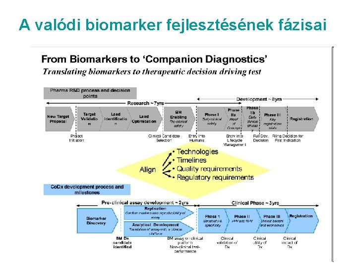 A valódi biomarker fejlesztésének fázisai 