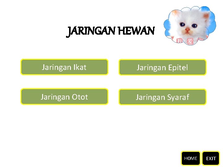 JARINGAN HEWAN Jaringan Ikat Jaringan Epitel Jaringan Otot Jaringan Syaraf HOME EXIT 