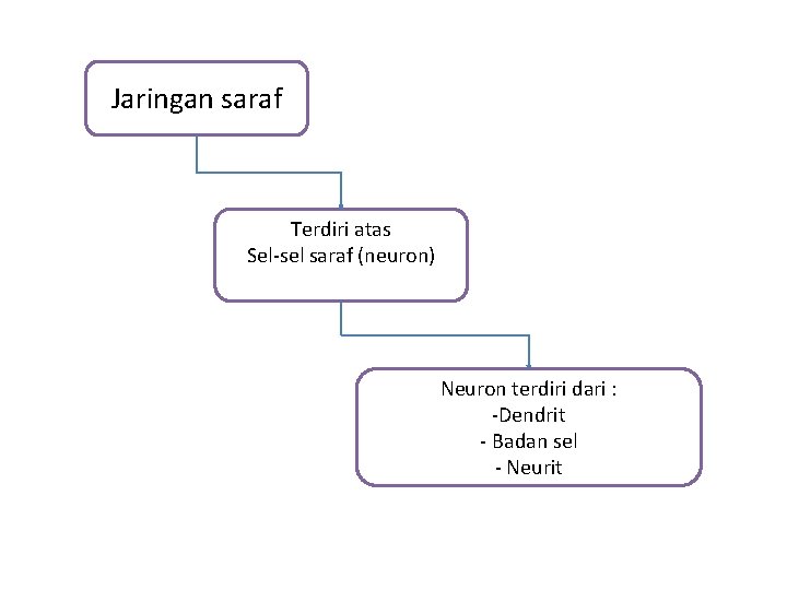 Jaringan saraf Terdiri atas Sel-sel saraf (neuron) Neuron terdiri dari : -Dendrit - Badan