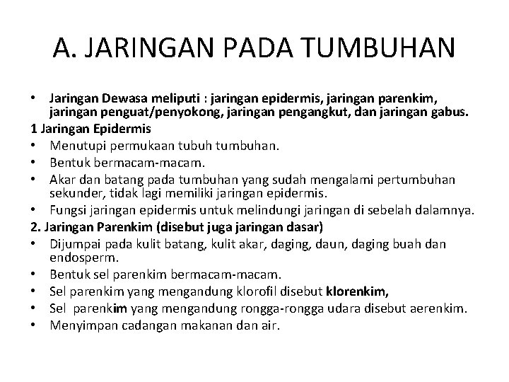 A. JARINGAN PADA TUMBUHAN • Jaringan Dewasa meliputi : jaringan epidermis, jaringan parenkim, jaringan