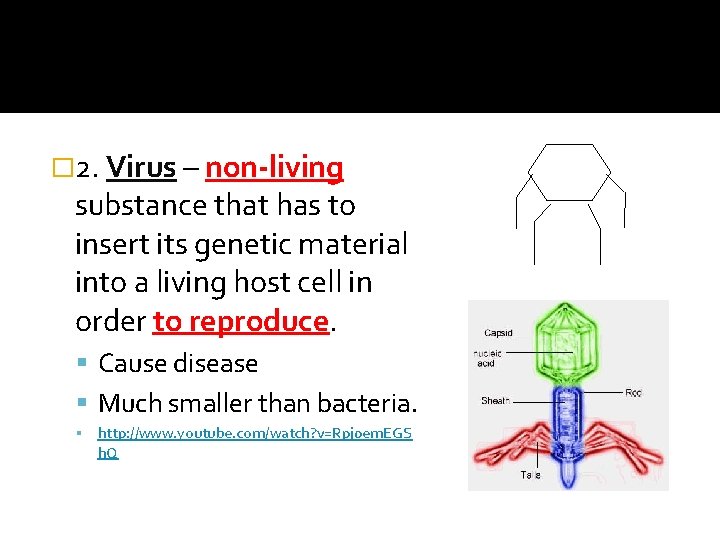 � 2. Virus – non-living substance that has to insert its genetic material into