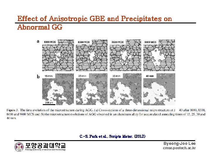 Effect of Anisotropic GBE and Precipitates on Abnormal GG C. -S. Park et al.