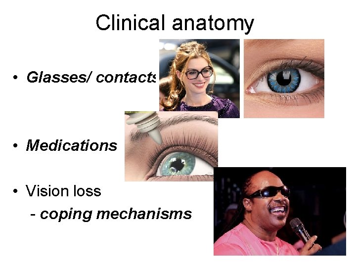 Clinical anatomy • Glasses/ contacts • Medications • Vision loss - coping mechanisms 