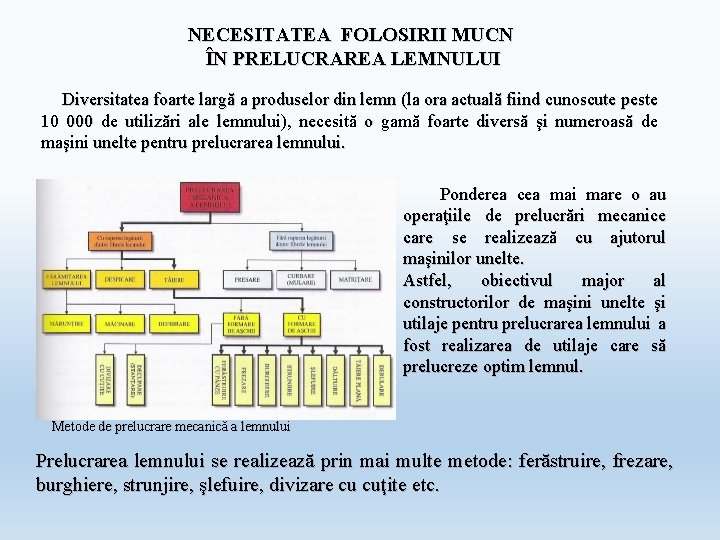 NECESITATEA FOLOSIRII MUCN ÎN PRELUCRAREA LEMNULUI Diversitatea foarte largă a produselor din lemn (la NECESITATEA FOLOSIRII MUCN ÎN PRELUCRAREA LEMNULUI Diversitatea foarte largă a produselor din lemn (la