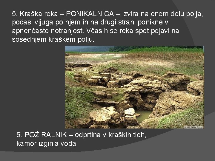 5. Kraška reka – PONIKALNICA – izvira na enem delu polja, počasi vijuga po