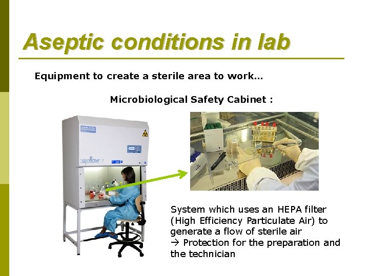 Aseptic conditions in lab Equipment to create a sterile area to work… Microbiological Safety