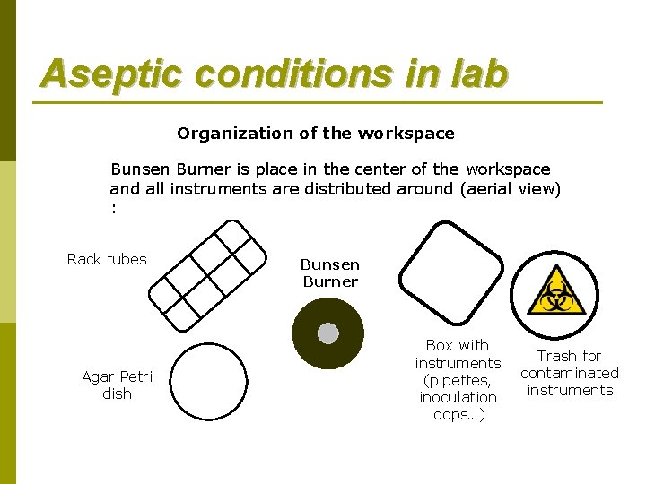 Aseptic conditions in lab Organization of the workspace Bunsen Burner is place in the