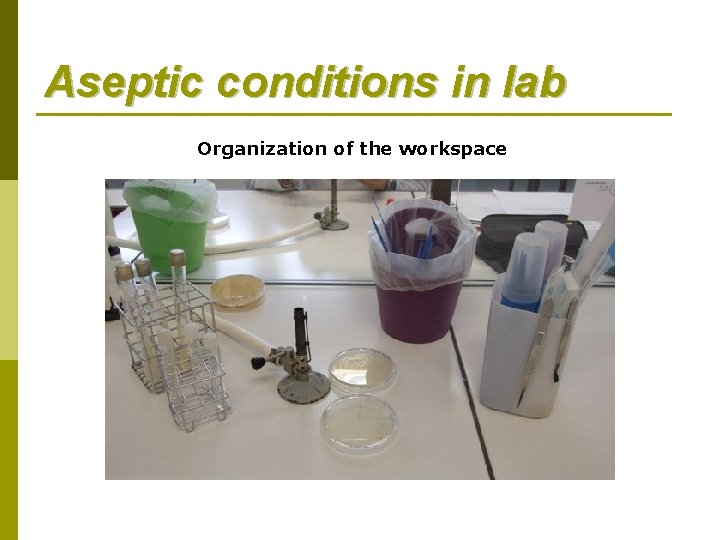 Aseptic conditions in lab Organization of the workspace 