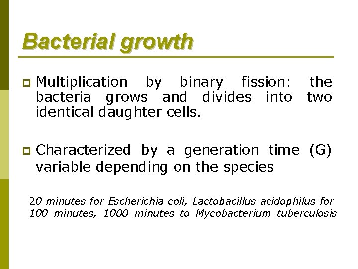 Bacterial growth p Multiplication by binary fission: bacteria grows and divides into identical daughter