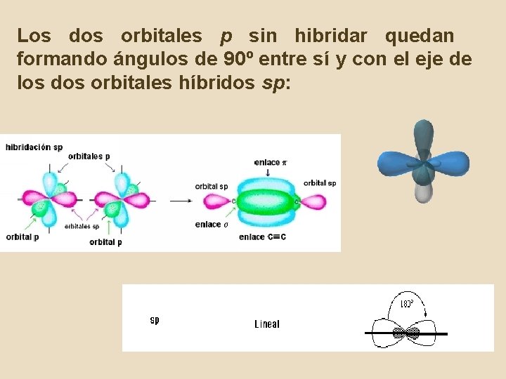 Los dos orbitales p sin hibridar quedan formando ángulos de 90º entre sí y