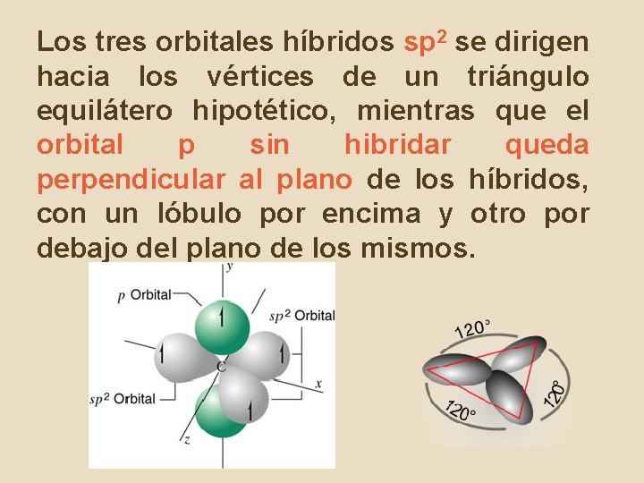 Los tres orbitales híbridos sp 2 se dirigen hacia los vértices de un triángulo