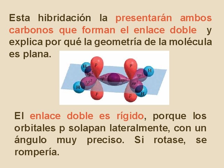 Esta hibridación la presentarán ambos carbonos que forman el enlace doble y explica por