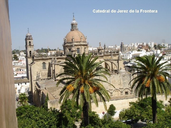 Catedral de Jerez de la Frontera 