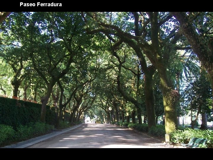 Paseo Ferradura 
