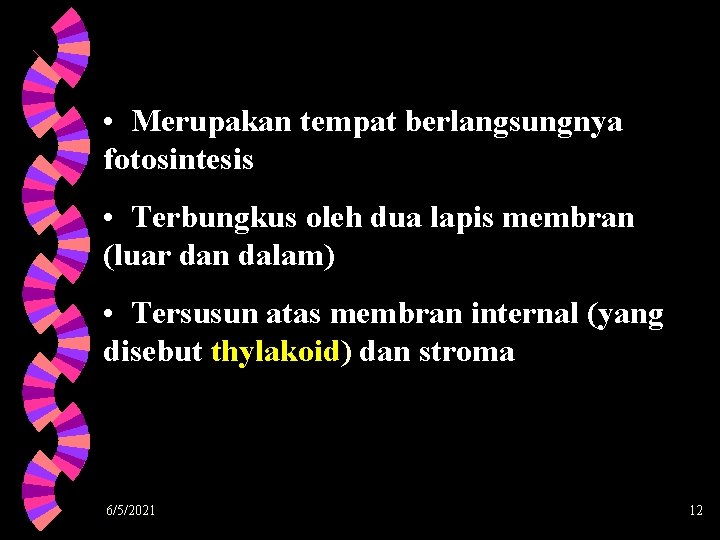  • Merupakan tempat berlangsungnya fotosintesis • Terbungkus oleh dua lapis membran (luar dan
