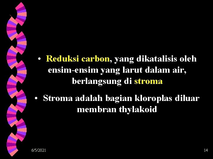  • Reduksi carbon, yang dikatalisis oleh ensim-ensim yang larut dalam air, berlangsung di