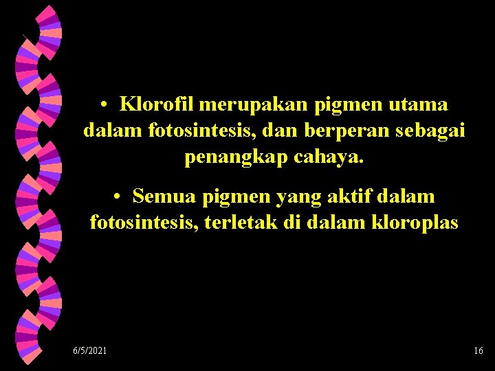  • Klorofil merupakan pigmen utama dalam fotosintesis, dan berperan sebagai penangkap cahaya. •
