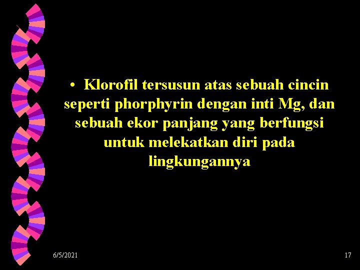  • Klorofil tersusun atas sebuah cincin seperti phorphyrin dengan inti Mg, dan sebuah